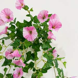65cm Morning Glory Fleur Artificielle Décoration Murale Maison Tenture Murale <span class=keywords><strong>Chloris</strong></span> pour la Saint Valentin et le Nouvel An - Product Image 3