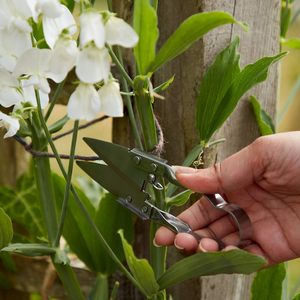 Esschert Design all <span class=keywords><strong>Outils</strong></span> <span class=keywords><strong>de</strong></span> <span class=keywords><strong>jardinage</strong></span> en acier inoxydable râteau pelle arc ciseaux pour le <span class=keywords><strong>jardinage</strong></span> - Product Image 1