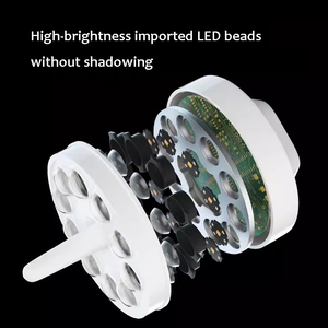 Shadowless Cold Light 30W Ceiling <strong>Dental</strong> Light Lamp Led Operation Surgical Light for <strong>Dental</strong> <strong>Chair</strong> Medical Examination - Product Image 2
