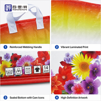 Custom Printed Heavy Duty BOPP Woven Laundry Detergent Powder Packaging Bag Moisture Proof Laminated Sack with Plastic Handle