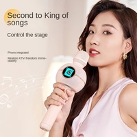 DIVOOM Dot K Gobo Bluetooth Microphone Audio Intégré Sans Fil Microphone Chant Artefact Changeur de Voix Haut-Parleur KTV