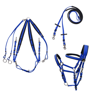 Ensemble complet d'équipement d'endurance équestre sur mesure en cuir, incluant des haltères en PVC et du nylon, et une bride de style équipement d'équitation. Livraison directe disponible. - Product Image 1