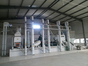 Machine <span class=keywords><strong>à</strong></span> décortiquer le riz Zhongpei série YMSJ, grande capacité, efficace, faible bruit, capacité de 40 kg/h, puissance de 5 kW, garantie 1 an pour la vidéo explicative - Product Image 3