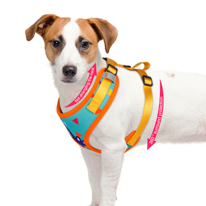 Harnais pour chien réglable <span class=keywords><strong>de</strong></span> haute qualité Conception personnalisable durable avec des motifs d'<span class=keywords><strong>animaux</strong></span> colorés Caractéristiques personnalisées pour les <span class=keywords><strong>animaux</strong></span> <span class=keywords><strong>de</strong></span> <span class=keywords><strong>compagnie</strong></span> - Product Image 2