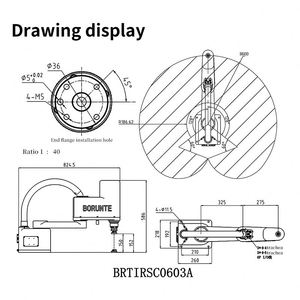 Robot horizontal à quatre axes Braun pour la distribution de colle, bras mobile, charge utile 3 kg - Product Image 3