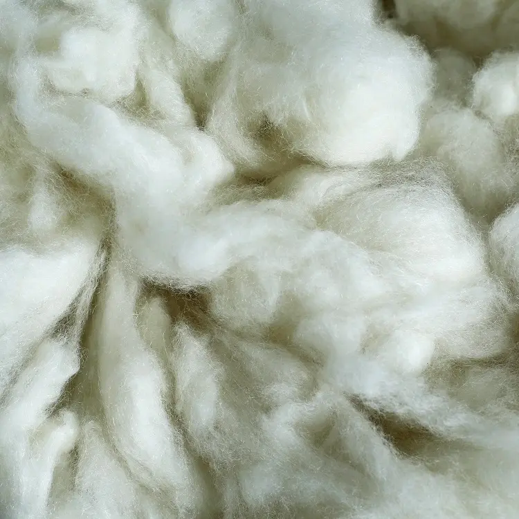 Fornitura del produttore fibra di lana di Cashmere della migliore qualità per i vestiti