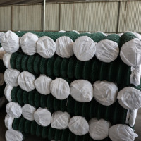 Vente en gros de clôture à mailles de chaîne en fil cyclone enduit de PVC aux Philippines