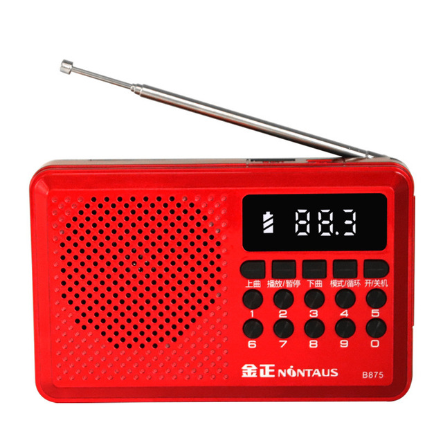 Rechargeable Portable Radio with Long Battery Life USB Powered BT Wireless TF Card Slot MP3 Player Flashlight Screen