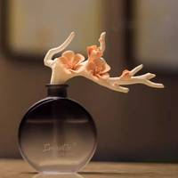Logo personnalisé 500ml 250ml 100ml Diffuseur de parfum de maison rond et plat Diffuseur de parfum de maison Bouteille en verre vide