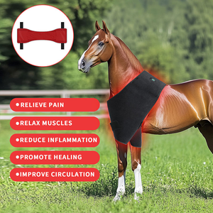 Coussin de luminothérapie équine 320 LED avec batterie intégrée 5000 mAh, 660 nm + 850 nm, pour soulager les douleurs du ventre et du dos des chevaux - Product Image 2