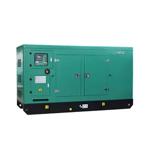 Watergekoelde Genset Stille Genererende Type 200kw 250kva Met Volvo Motor Dieselgeneratoren Met Ce