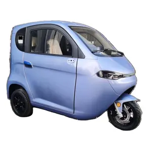 EEC Dutch Fully Enclosed Electric Tricycles Three Wheel Elderly Delivery Unique Small Vehicles for Adult