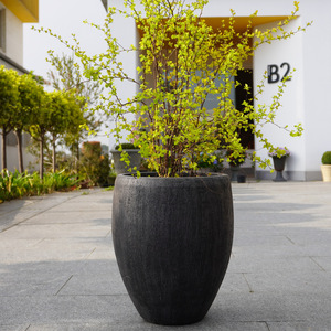 Grand et élégant pot de fleurs en <span class=keywords><strong>plastique</strong></span> P133, cylindre d'eau, présentoir robuste pour plantes aquatiques, nénuphars pour jardin - Product Image 2