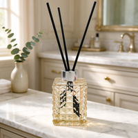 Bouteille en verre carrée vide de 50 ml, 100 ml, 200 ml, bleue, verte, noire, en forme de cube d'eau, pour diffuseur d'huiles essentielles, avec bouchon à vis, décoration d'intérieur