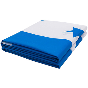 NX Vendita Calda Poliestere Israele Bandiera Commercio All'ingrosso Della Bandiera Nazionale <span class=keywords><strong>Di</strong></span> <span class=keywords><strong>Tutto</strong></span> <span class=keywords><strong>Il</strong></span> <span class=keywords><strong>Mondo</strong></span> - Product Image 6