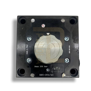 Válvulas de Control de Flujo Hidráulicas RPC-2T3/31 RPC-3T3/43 RPC-2T3/M/33 RPCQ-2T3/M/31/V RPCQ-3T3/M/43/V - Product Image 2