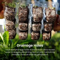Démarreur de semis d'usine élèvent la lumière pour les plantes d'intérieur Dômes d'humidité Kit de démarrage de graines Ensemble Led Plateau de démarrage de graines avec lumière de croissance