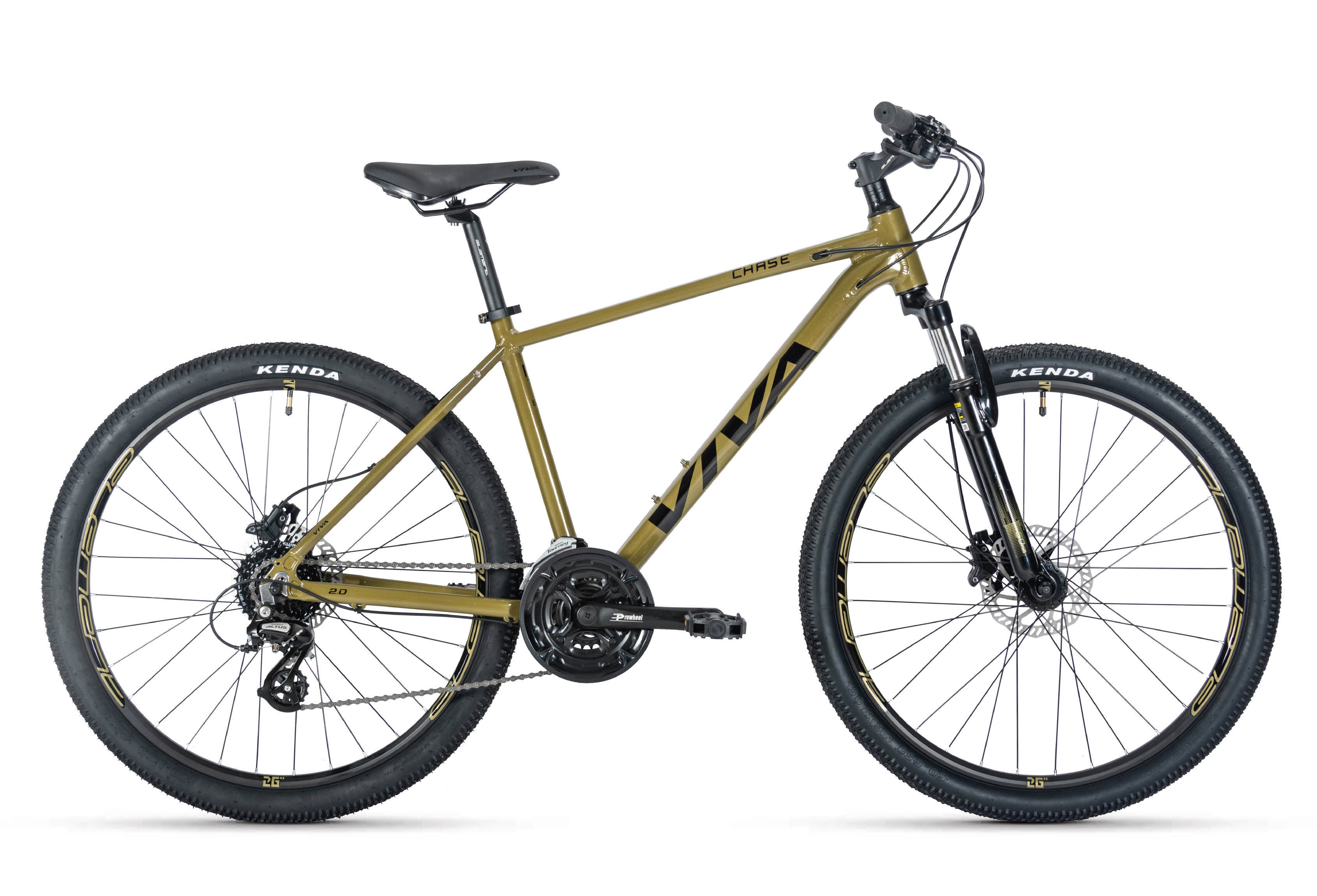 สีเหลืองมอส