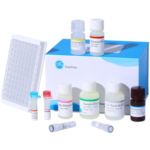 FineTest haute qualité Rat TNF Alpha test Kit de recherche scientifique FineTest Rat Tumeur <span class=keywords><strong>Nécrose</strong></span> Facteur Alpha ELISA Kit - Product Image 1