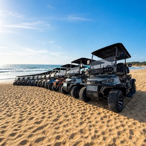 Voiturette <span class=keywords><strong>de</strong></span> golf électrique pour <span class=keywords><strong>station</strong></span> <span class=keywords><strong>de</strong></span> <span class=keywords><strong>ski</strong></span>, 2, 4 ou 6 places, moteur AC 72V 7.5KW, batterie au lithium, pour navette des clients alpins, homologuée DOT - Product Image 5
