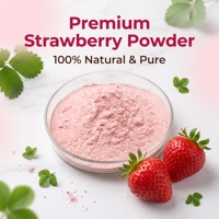 Poudre de fraise 100% pure et naturelle, sans additifs ni supports, pour smoothies, glaces, pâtisseries, qualité alimentaire, vente en gros en vrac