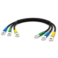Ensemble de câbles de moteur de traction pour chariot élévateur, faisceau de câbles haute intensité robuste avec borne annulaire pour chariot élévateur électrique