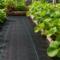 Toile de paillage tissée noire pour le contrôle des adventices dans les jardins, pour l'agriculture et la protection des plantes