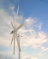 Éolienne résidentielle 1000w axe horizontal système d'énergie éolienne 12V 24V 48V PMG alternateurs éoliennes générateur pour la maison