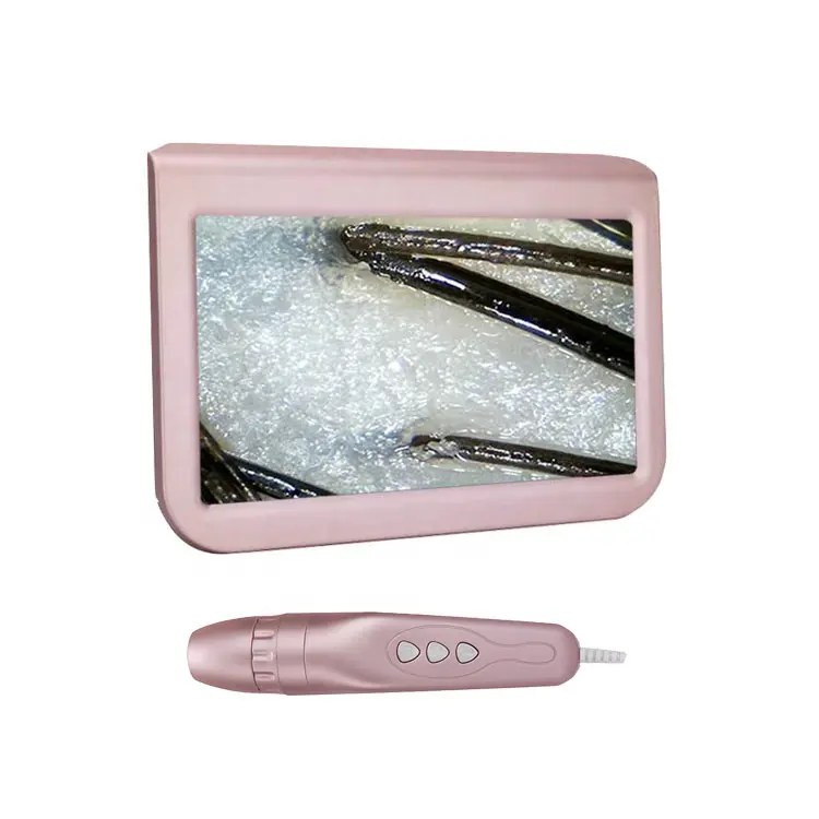 Hot Sale Factory Price Portable Rechargeable 10 inches High Definition Skin and Hair Analyzer