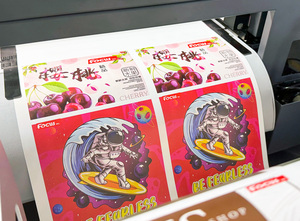 焦点Vesa 830A紫外墨水塑料工业标签打印机自动吊舱高速12-17/h 300毫米媒体以太网显示屏全新 - Product Image 4