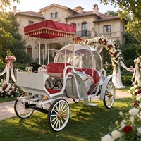 Charrette électrique Citrouille de Cendrillon pour Mariage, Transport de Princesse, Couleur Personnalisée, Design Confortable et de Haute Qualité