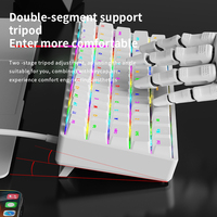 AK61 Wired Keyboard 22 Lighting Modes ABS Lightweight Keycap 61 Layout Save Space Full-Key No Conflict Blue/Red Shaft Ergonomic