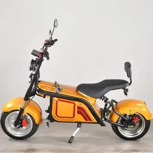 Her türlü Moto elektrikli Scooter 2000W yetişkin Motos avrupa depo 1500W Citycoco