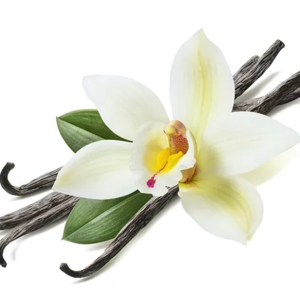 Aceite esencial de vainilla 25kg 180kg Vanilla Planifolia 100% Aceite puro de grado orgánico natural Personalización de calidad premium disponible - Product Image 2