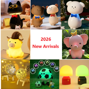 Lámpara Nocturna LED Recargable Ecológica con Forma de Pájaro Kiwi para Decoración de Habitaciones Infantiles - Product Image 4