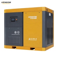 Bomba de Vacío de Tornillo Rotativo Sellada con Aceite Airhorse de 7.5kw-250kw, de Doble Tornillo, Rápida, 560m³/h, para Taller