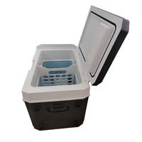 Nevera Portátil de 12 Voltios CC para Vehículo, Refrigeradores Eléctricos, Mini Nevera Congeladora para Auto