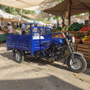 Triciclo <span class=keywords><strong>de</strong></span> Carga Motorizado con Motor <span class=keywords><strong>de</strong></span> 250cc Refrigerado por Agua, Marco Reforzado con Soldadura Láser, Alta Capacidad <span class=keywords><strong>de</strong></span> Carga, Triciclo Duradero y Económico - Product Image 1
