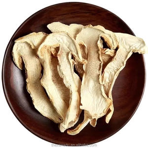 Hongo Blanco Seco <span class=keywords><strong>Tricholoma</strong></span> <span class=keywords><strong>Matsutake</strong></span> (Song Rong) Silvestre 5A de Yunnan para Cocinar/Tintura, Paquete a Granel - Product Image 1