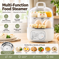 Cuiseur à œufs électrique automatique en acier inoxydable 304, double couche, arrêt automatique, minuterie 30 minutes, compact, pour petit-déjeuner domestique