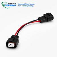 Cableado Personalizado para Conector de Inyector, Arnés de Cableado Automotriz
