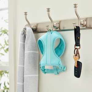 Vibrant Life Poliéster & Spandex Arnés Ajustable Perro, Azul, XS - Product Image 4