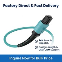 Kabel Patch Fiber Optik Wanbao Harga Pabrik 12 Core OM3 Multimode MPO ke MPO LSZH 3.0mm untuk Pusat Data 40G/100G