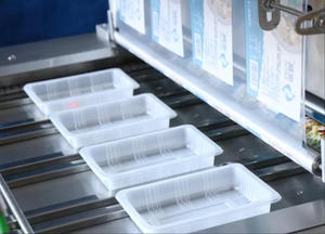 Continuous Semi-Automatic Electric Tray Sealer Machine Philippine Heavy Duty <b>Vacuum</b> Sealer <b>Bags</b> MAP Packaging Machine Chemical - Product Image 3