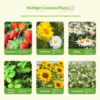 Kinder-DIY-Erforschungs-Pflanzspielzeug Grünpflanzen-Wachstumsbeobachtung Kleine Topfpflanzen Kindergarten-Blumensamen-Set Großhandel
