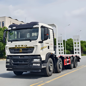 Sinotruk Howo Gold Standard TX Weichai 350hp 8x4 Camión Diésel Euro 6 Nuevo Camión Pesado - Product Image 1