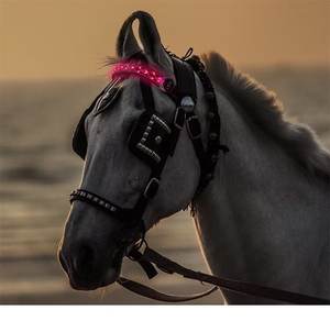 Collier de tête de cheval lumineux à LED équestre - Rechargeable, réfléchissant, respirant, utilisation estivale, polyester, nylon, réglable pour cheval - Product Image 3