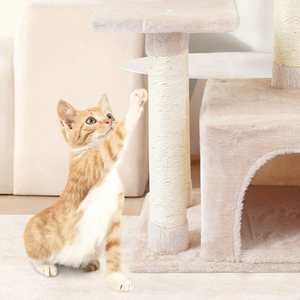 Venta al por mayor de lujo gato grande árbol Torre casas arañazos escalada mascota lindo gatito gato torre para gato de interior - Product Image 4