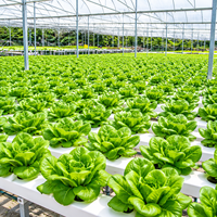 Système de culture vertical aéroponique et hydroponique écologique Skyplant avec moteur/pompe pour la culture