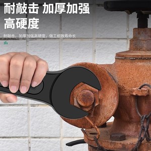 Baolian Open End Wrench 46mm Heavy Duty Industrial Grade Chrome Vanadium Steel Manual Metric Single End - Product Image 4